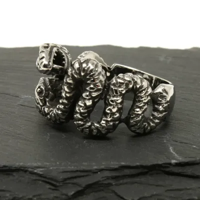 Produktbild von Ring Silber aus Edelstahl - SNAKE FIGHT 65