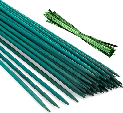 Obrázek produktu pro Ferrarium Zelená bambusová tyčinka barevná 50 kusů - 50 cm Ø 5,5 mm