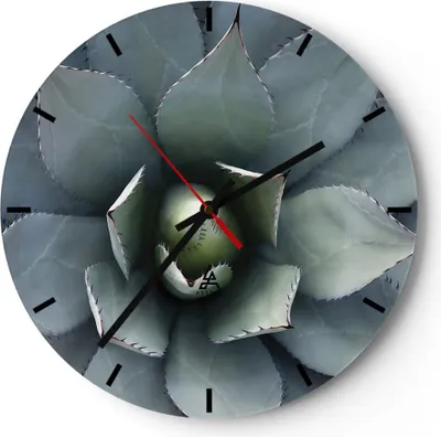Produktbild von Wanduhr - Rund - Glasuhr - Blau Blätter Agave - 40x40cm - Schleichendes Uhrwerk - Lautlos - zum Aufhängen bereit - Dekoration Modern - Wanddekoration aus Glas - C3AR40x40-5133