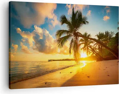 Produktbild von Bild auf Leinwand - Leinwandbild - Meer Strand Palme - 70x50cm - Wand Bild - Wanddeko - Wandbilder - Leinwanddruck - Bilder - Kunstdruck - Wanddekoration - Leinwand bilder - Wandkunst - AA70x50-3922