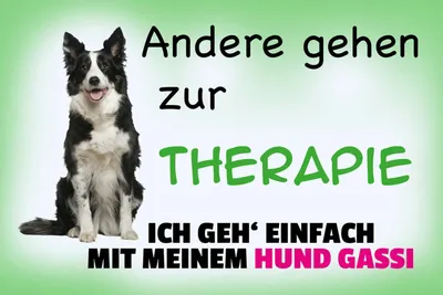 Produktbild von vianmo Holzschild 20x30 cm ich geh' mit meinem Hund Gassi Tier Haustier