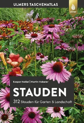 Produktbild von Stauden