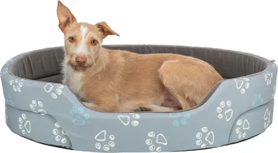 Produktbild von TRIXIE Bett Jimmy - hellgrau/dunkelgrau - 45 × 35 cm