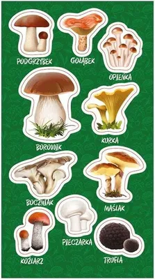 Image de Aufkleber Essbare Pilze (Schrein)