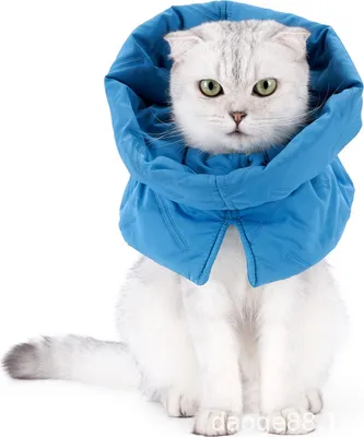 Immagine prodotto di INF Collare di Recupero Invernale per Animali Domestici - Cono Morbido Regolabile Blu scuro S