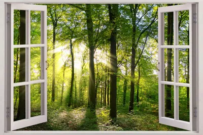 Produktbild von 213 Wandtattoo Fenster - Wald - Größe 1000 x 670 mm