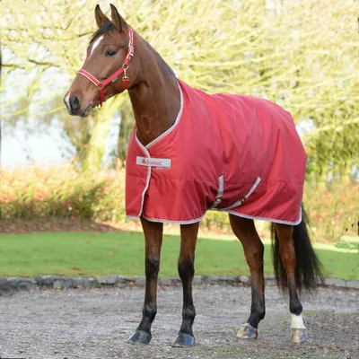 Immagine prodotto di Bucas Freedom Stable 300 g - Rosso peperoncino