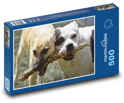Obrázek produktu pro Puzzle 500 Stafordi s klackem, psi - martinpuzzle