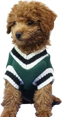Zdjęcie produktu dla Dzianinowy sweter dla psa Unreal B Zielony 4XL
