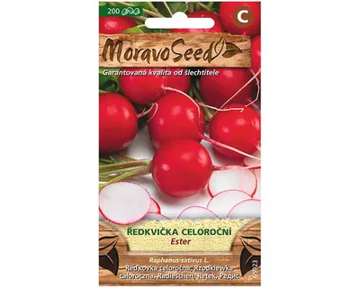 Produktbild von Reďkovka celoročná ESTER červená