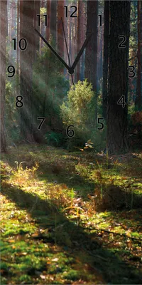 Produktbild von Wallario Design Wanduhr Sonnenstrahlen im Herbstwald aus Echtglas, Größe 30 x 60 cm