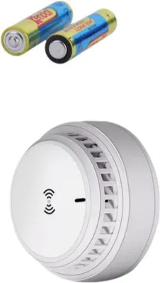 Two batteries and a smoke detector.