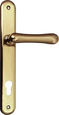 Produktbild von Türbeschlag Elegant 22 | Türgriff für Haustür auf Langschild PZ 88 | Messing poliert