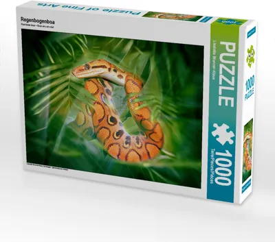 Produktbild von CALVENDO Puzzle Regenbogenboa | 1000 Teile Lege-Größe 64x48cm Foto-Puzzle für glückliche Stunden