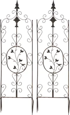 Image de Arches de roses