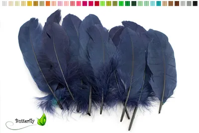 Produktbild von 10 Gänsefedern 15-20cm, Farbauswahl:dunkelblau / navy 370