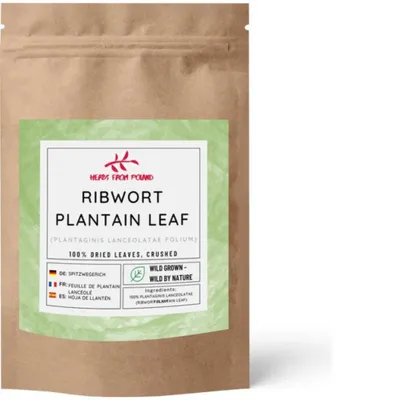 Produktbild von Herbs from Poland Spitzwegerich, Unterstützt Atemwege & Haut, Reizmildernd & Entzündungshemmend, 100% Natürlich – 500g