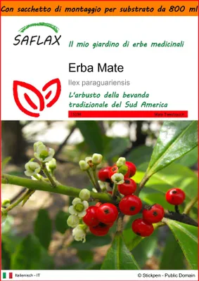 Immagine prodotto di SAFLAX Garden in the bag - Erba Mate - 10 semi - Ilex
