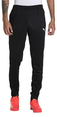 Immagine prodotto di Puma Nohavice Teamrise Poly Training, 65739006, Taglia: 176