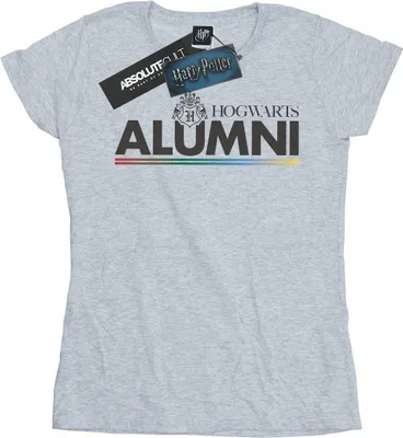 Produktbild von Harry Potter - "Hogwarts" T-Shirt für Damen BI23602 (XL) (Grau)