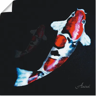 Produktbild von ARTland Poster Koi Größe: 40x40 cm