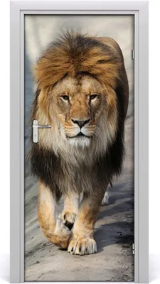 Produktbild von Tulup Türaufkleber 85x205 cm Dekorative Aufkleber Selbstklebend Wasserdichte Tapete Abnehmbar Schlafzimmer Wohnzimmer Wohnkultur - Lion Wand