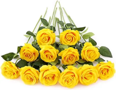 Produktbild von 12 künstliche Rosen – dunkelgelb