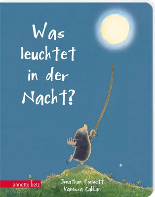 Produktbild von Was leuchtet in der Nacht?