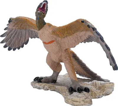 Obrázok produktu pre Hračka dinosaura Archaeopteryx, realistická, realistická, veľmi detailná, vzdelávacia figúrka, model dinosaura pre deti