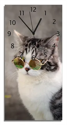 Produktbild von Wallario Design Wanduhr bedruckt, Größe 30 x 60 cm, Motiv: Katze mit Stil