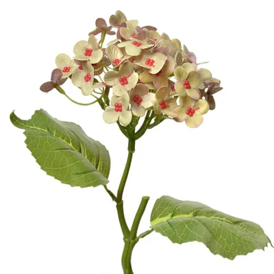 Produktbild von Clayre & Eef Kunstblume 37 cm Gelb Kunststoff