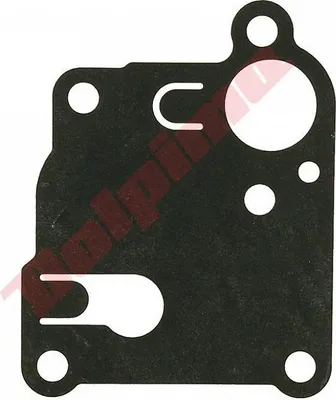 Zdjęcie produktu dla Zestaw membran do Briggs&Stratton ( 270253 )