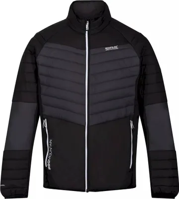 Produktbild von Regatta - Pánská softshellová bunda "Halton VI" RG8037 (3XL) (tmavě šedá/černá)