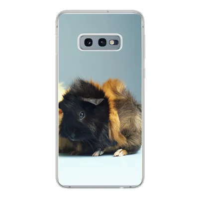 Produktbild von MuchoWow® Handyhülle Schutzhülle Hülle für Samsung Galaxy S10e Zwei kleine Meerschweinchen Silikon Softcase Handy Hülle - Handy