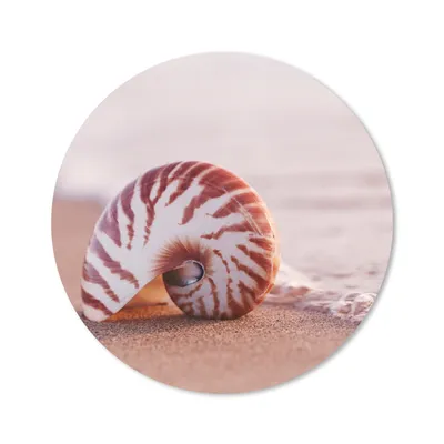 Produktbild von MuchoWow® Mauspad Mousepad Muschel - Strand - Meer - Sand 50x50 cm - Mousepads - Maus Mat - Pad - Mausunterlage - Vinyl