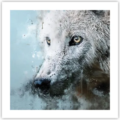 Produktbild von Poster - Poster ohne Rahmen - Weiß Der Wolf Bild - 50x50 cm - Wand Bild - Wanddeko - Wandbilder - Kunstposter - Wandposter - Bilder - Kunstdruck - Wanddekoration - Wandbild - P2XAC50x50-4623