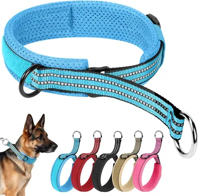 Obrázok produktu pre Obojok pre psa, martingale, nastaviteľný, nylon, reflexný, pre výcvik, modrá, M