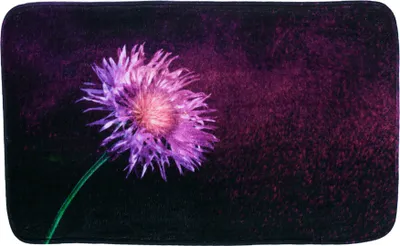 Obrázok produktu pre SANILO® Badteppich Purple Dust 70 x 110 cm