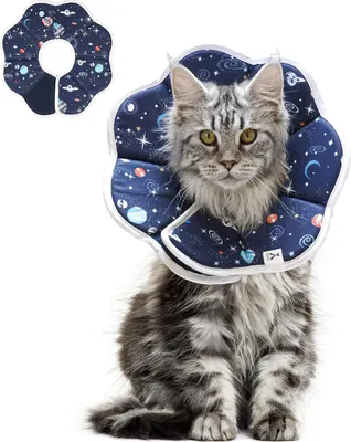 Produktbild von Schützende Halskrause Katze mit Sternenhimmel-Muster, Weich und Verstellbar Katzen Halskrause für nach Operationen Bequemer Katzenkragen, Verhindert das Lecken von Wunden Katzenkragen, M