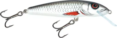 Produktbild von Salmo Minnow Wobbler , Salmo Farben:Dace, Länge/Gewicht/Laufverhalten/Tauchtiefe:6cm / 4g / schwimmend / 0.5-1.0m