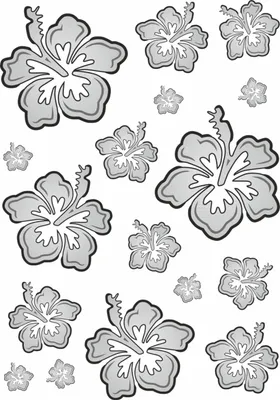 Produktbild von Aufkleber Hibiskusblüten-Set 300 x 200 mm schwarz/silber