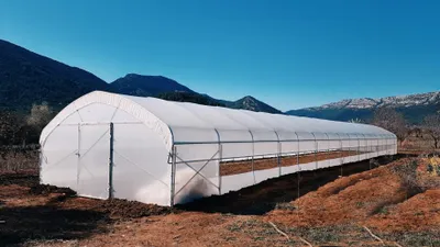 Produktbild von Gewächshaus 6×20 m – Profi Tunnel Gewächshaus, Treibhaus mit seitlicher Belüftung, 2 Türen, UV‑Folie & verstärkter Konstruktion