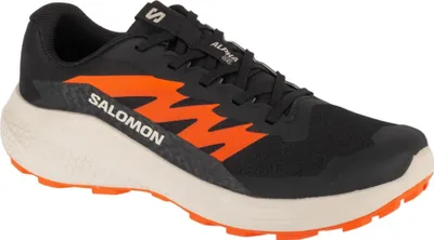 Image de Chaussures Salomon Alphaglide L47801100