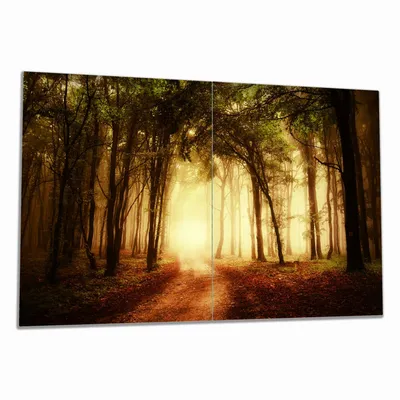 Produktbild von Wallario Herdabdeckplatte aus Glas, Größe 80 x 52 cm 2-teilig, Motiv Sonnenuntergang auf dem Waldweg