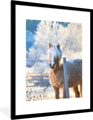 Produktbild von MuchoWow® Gerahmtes Poster Pferd - Winter - Schnee 60x80 cm - Poster mit Schwarzem Bilderrahmen Wandposter Rahmen Foto Bilder - Wohnzimmer - Dekorationen - Prämie