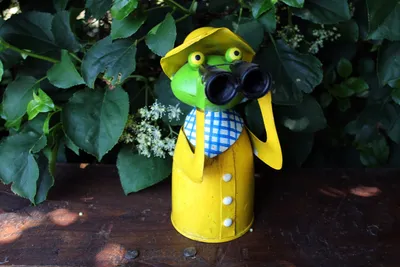 Produktbild von Zaunhocker Frosch Fernglas maritim