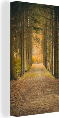 Zdjęcie produktu dla MuchoWow® - Obraz na płótnie - Ścieżka - Drzewa - Las, fototapeta, dekoracja ścienna, obrazy do salonu, 40x80cm