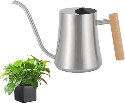 Produktbild von Famanu Gießkanne 1L - Edelstahl, für Zimmerpflanzen, silber