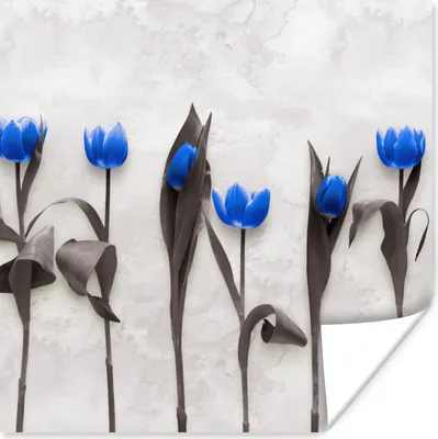 Produktbild von MuchoWow® Poster Blumen - Tulpen - Blau 50x50 cm - Wohnzimmerdekoration