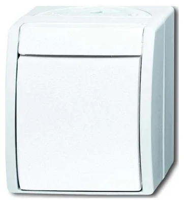 Obrázok produktu pre Spínač Busch-Jaeger 2601/2 W-54